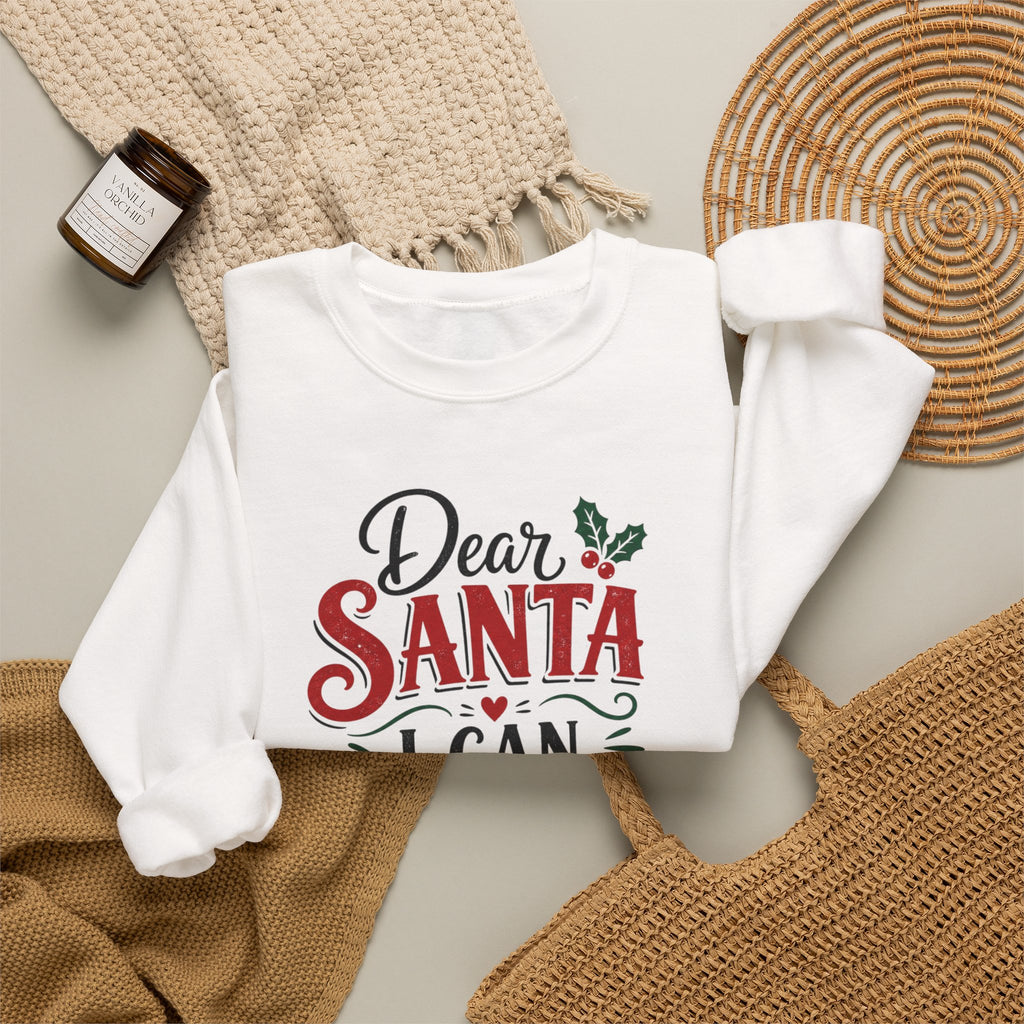 Dear Santa I Can Explain Sweatshirt, Funny Coffee Lover Christmas Shirt, Cute Holiday Crewneck, Sarcastic Xmas Coffee Gift for Her Women