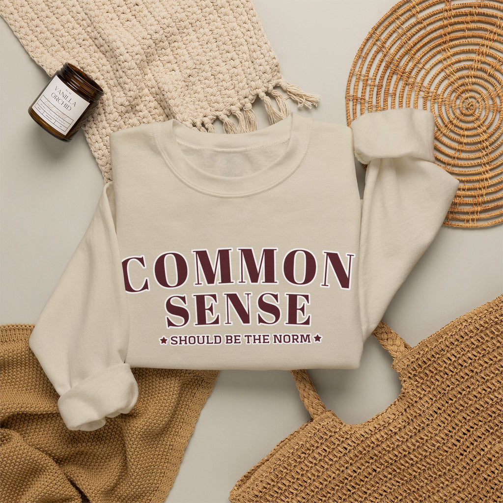 Common Sense Should Be The Norm Sweatshirt, Funny Sarcastic Crewneck, Trendy Adult Humor Shirt, Retro Statement Sweatshirt Gift