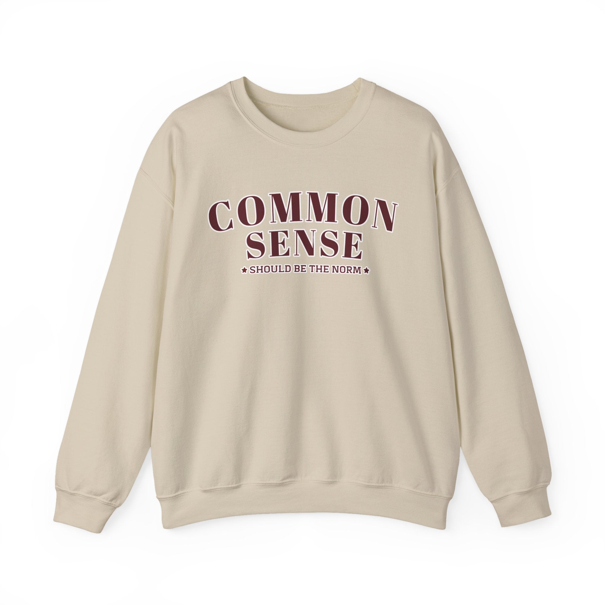 Common Sense Should Be The Norm Sweatshirt, Funny Sarcastic Crewneck, Trendy Adult Humor Shirt, Retro Statement Sweatshirt Gift