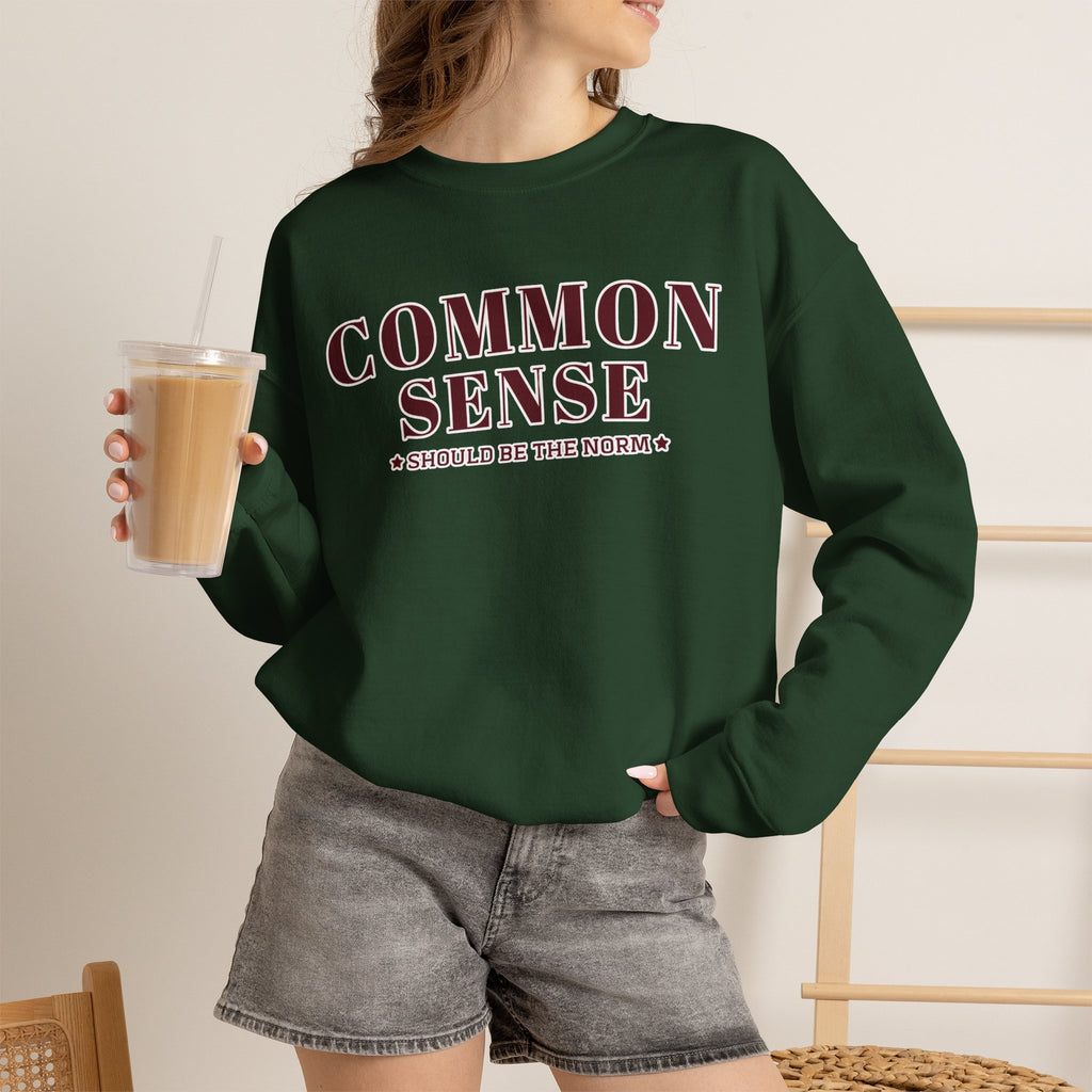 Common Sense Should Be The Norm Sweatshirt, Funny Sarcastic Crewneck, Trendy Adult Humor Shirt, Retro Statement Sweatshirt Gift