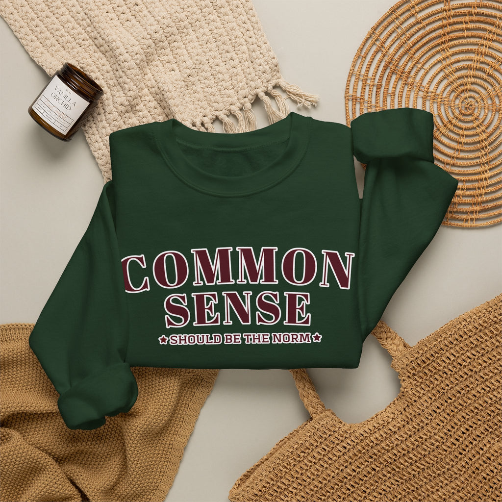Common Sense Should Be The Norm Sweatshirt, Funny Sarcastic Crewneck, Trendy Adult Humor Shirt, Retro Statement Sweatshirt Gift
