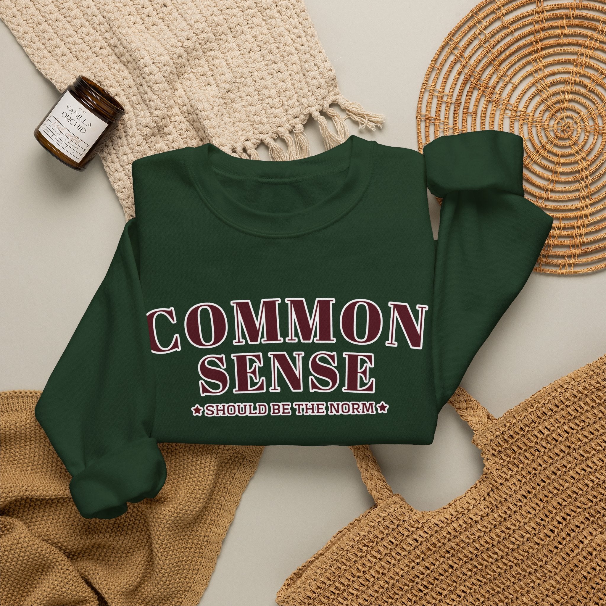 Common Sense Should Be The Norm Sweatshirt, Funny Sarcastic Crewneck, Trendy Adult Humor Shirt, Retro Statement Sweatshirt Gift