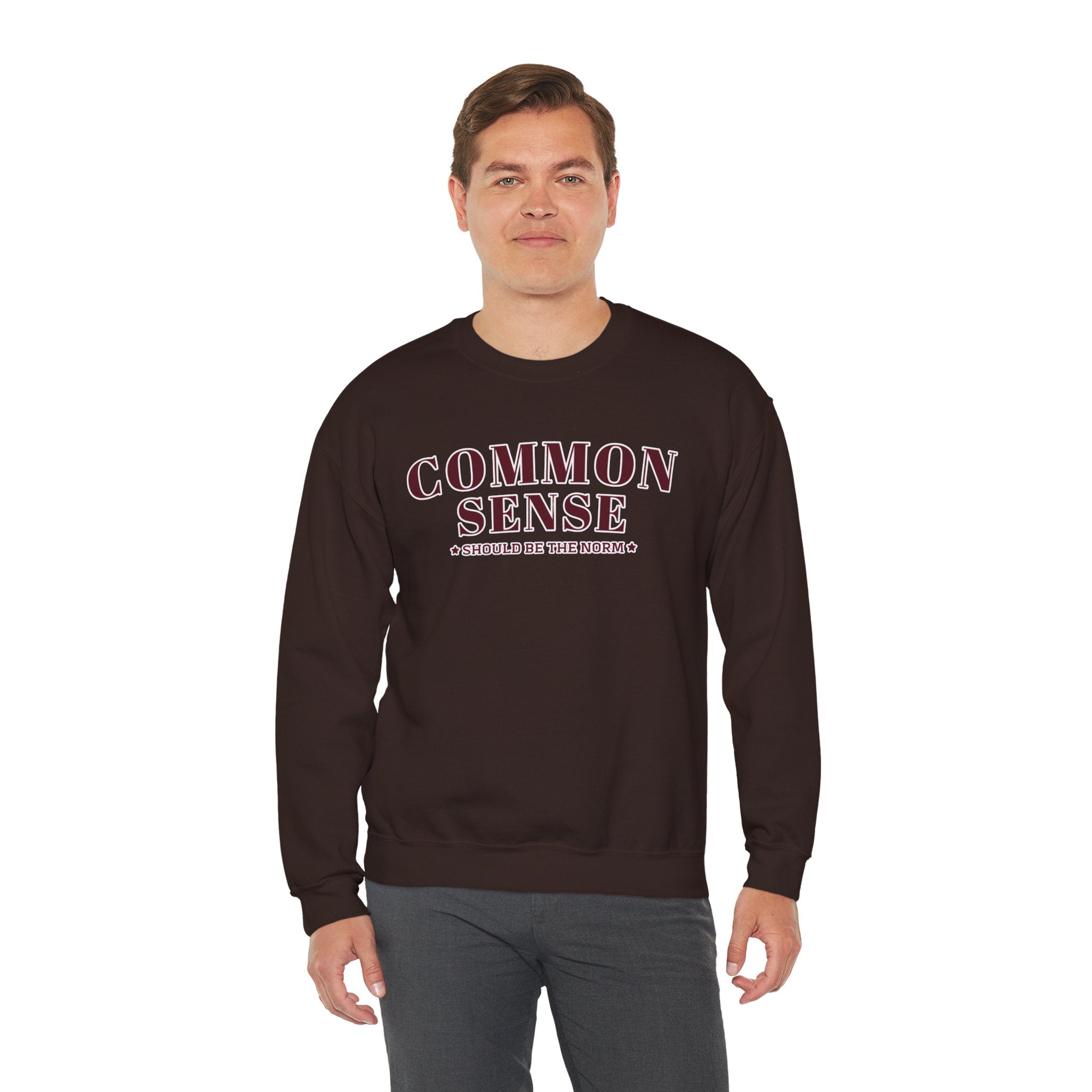 Common Sense Should Be The Norm Sweatshirt, Funny Sarcastic Crewneck, Trendy Adult Humor Shirt, Retro Statement Sweatshirt Gift