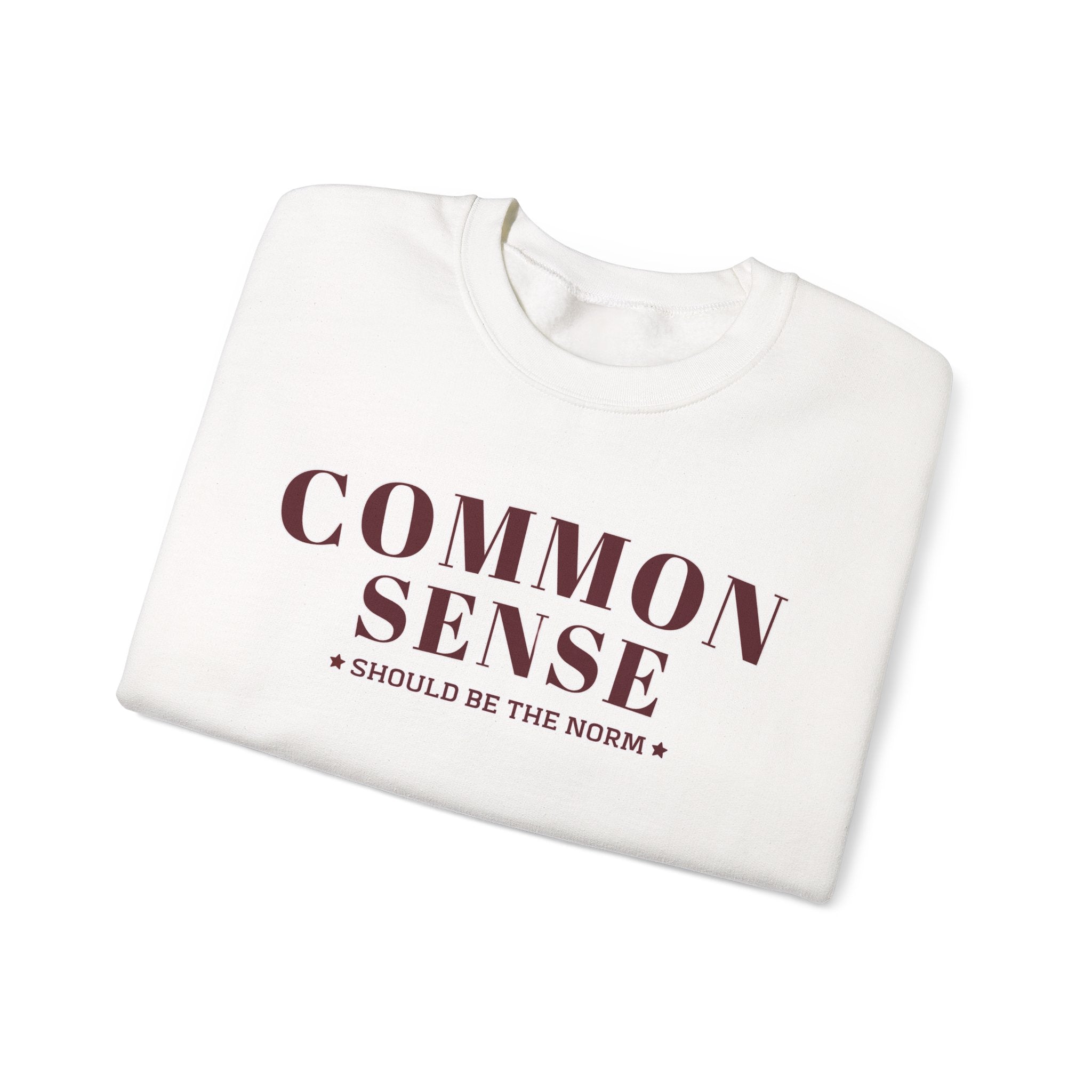 Common Sense Should Be The Norm Sweatshirt, Funny Sarcastic Crewneck, Trendy Adult Humor Shirt, Retro Statement Sweatshirt Gift
