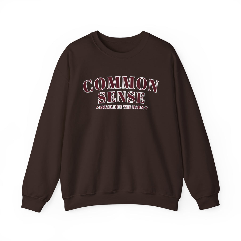 Common Sense Should Be The Norm Sweatshirt, Funny Sarcastic Crewneck, Trendy Adult Humor Shirt, Retro Statement Sweatshirt Gift