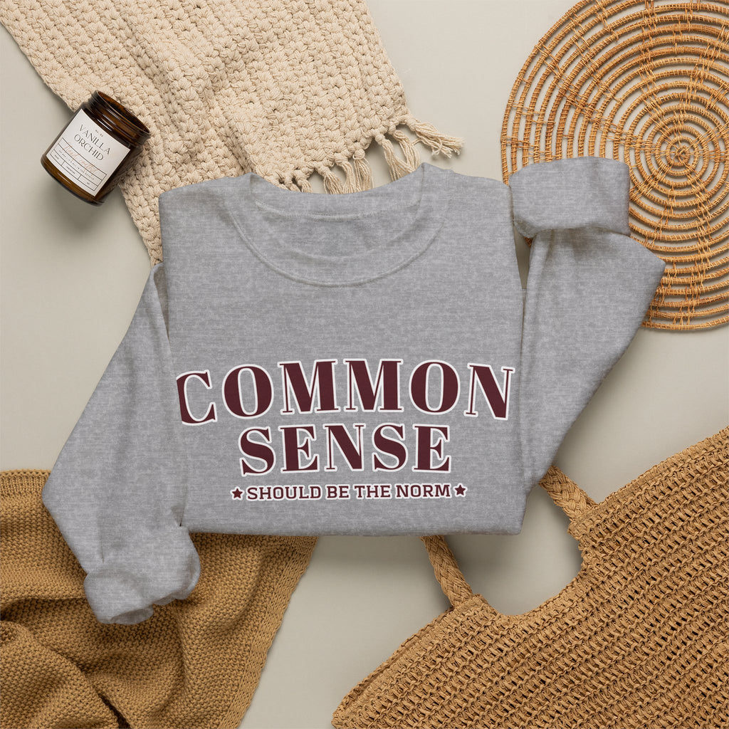 Common Sense Should Be The Norm Sweatshirt, Funny Sarcastic Crewneck, Trendy Adult Humor Shirt, Retro Statement Sweatshirt Gift