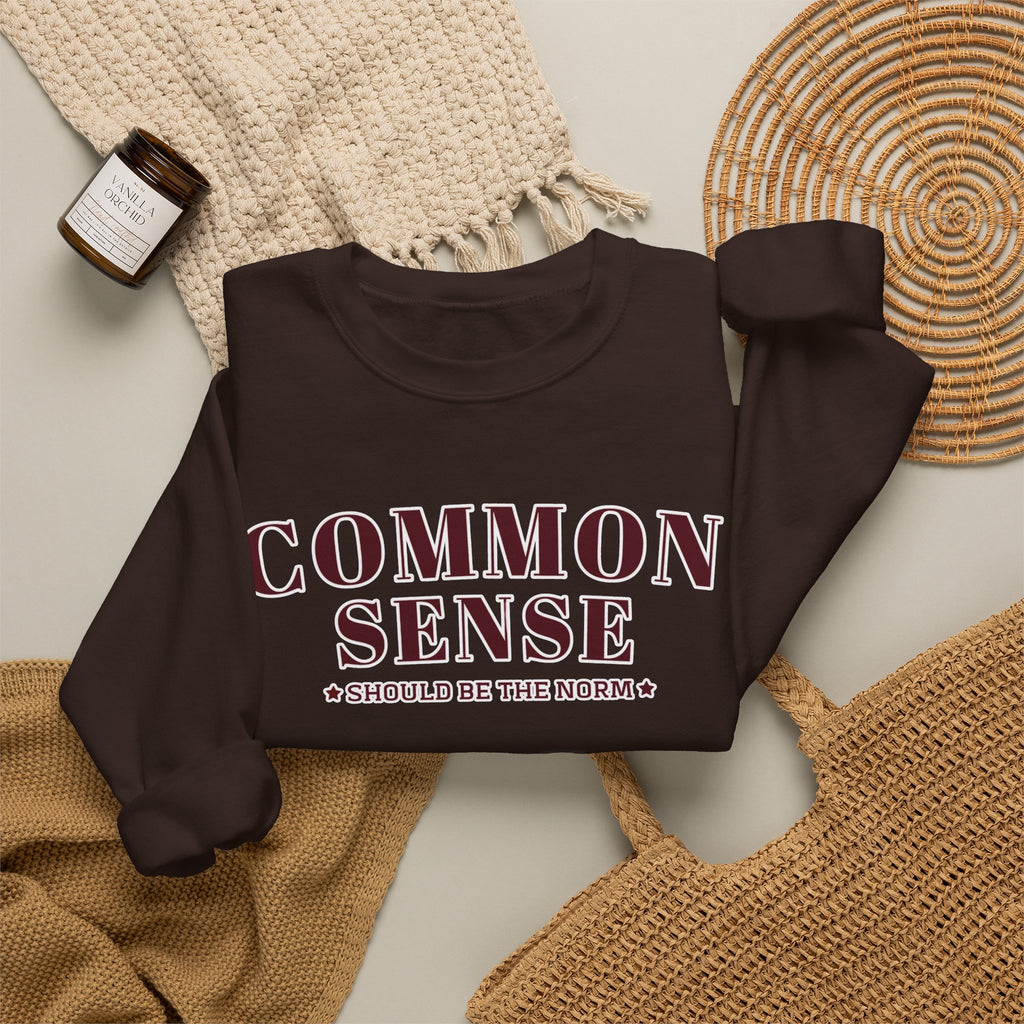 Common Sense Should Be The Norm Sweatshirt, Funny Sarcastic Crewneck, Trendy Adult Humor Shirt, Retro Statement Sweatshirt Gift