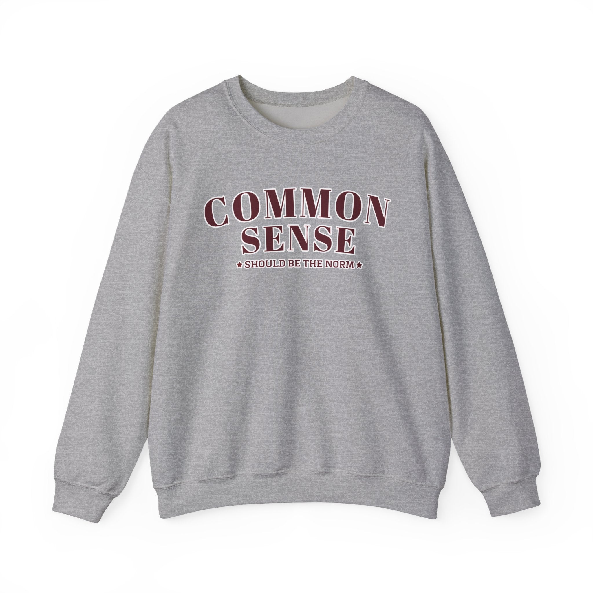 Common Sense Should Be The Norm Sweatshirt, Funny Sarcastic Crewneck, Trendy Adult Humor Shirt, Retro Statement Sweatshirt Gift