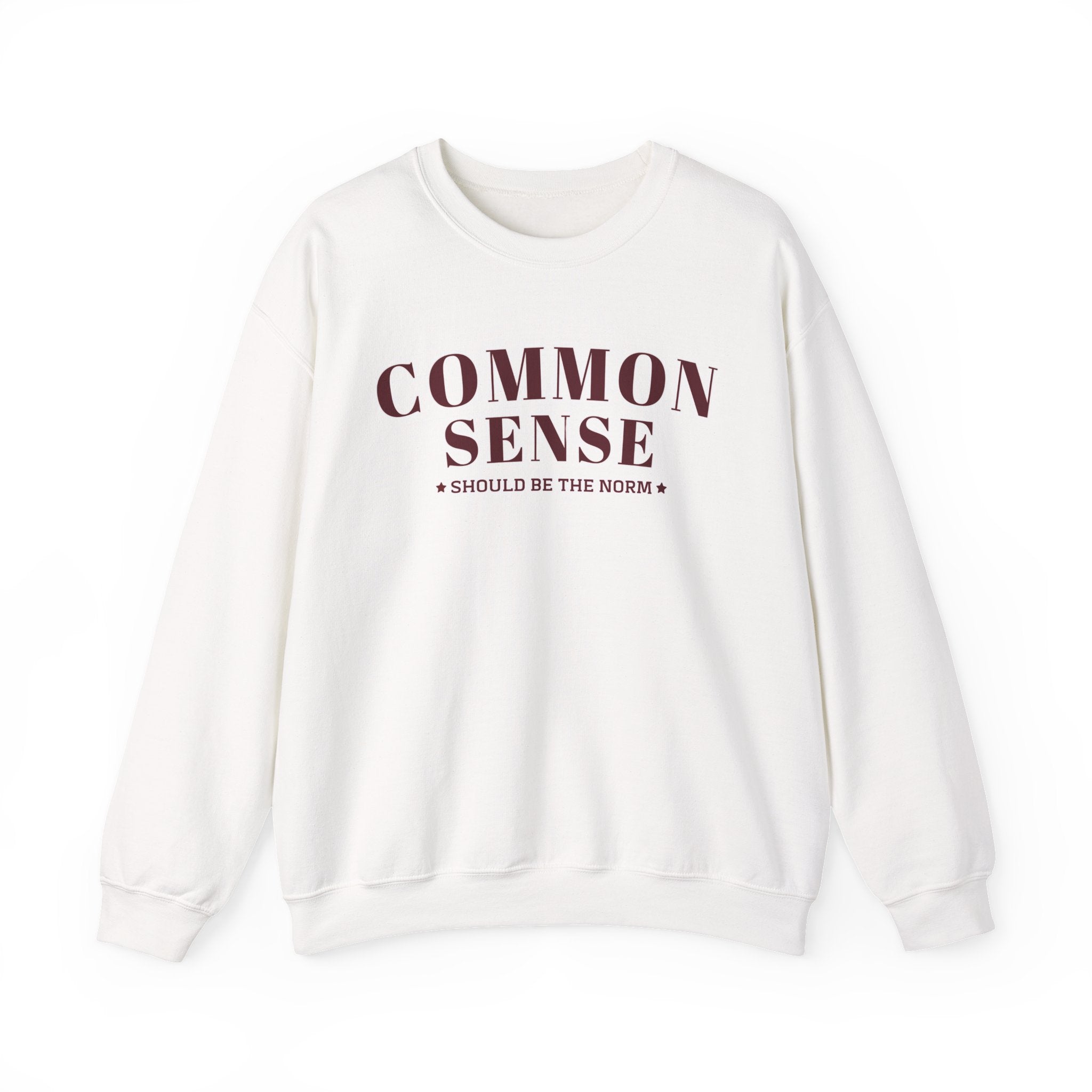 Common Sense Should Be The Norm Sweatshirt, Funny Sarcastic Crewneck, Trendy Adult Humor Shirt, Retro Statement Sweatshirt Gift