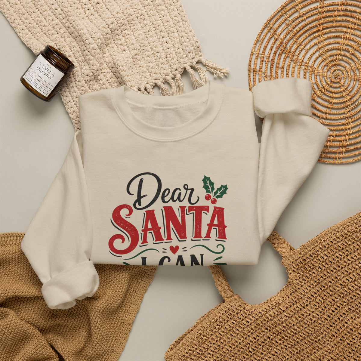 Dear Santa I Can Explain Sweatshirt, Funny Coffee Lover Christmas Shirt, Cute Holiday Crewneck, Sarcastic Xmas Coffee Gift for Her Women