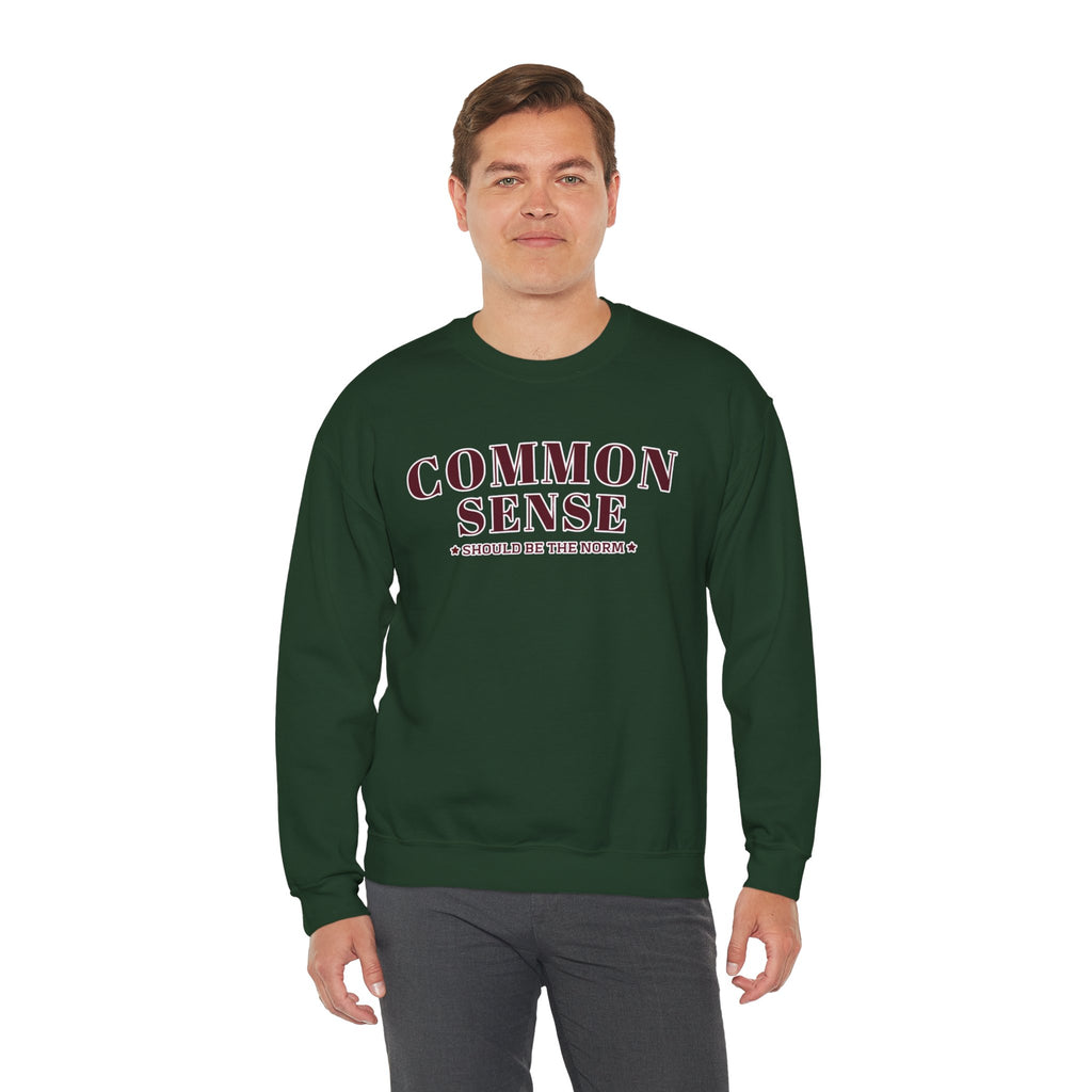 Common Sense Should Be The Norm Sweatshirt, Funny Sarcastic Crewneck, Trendy Adult Humor Shirt, Retro Statement Sweatshirt Gift