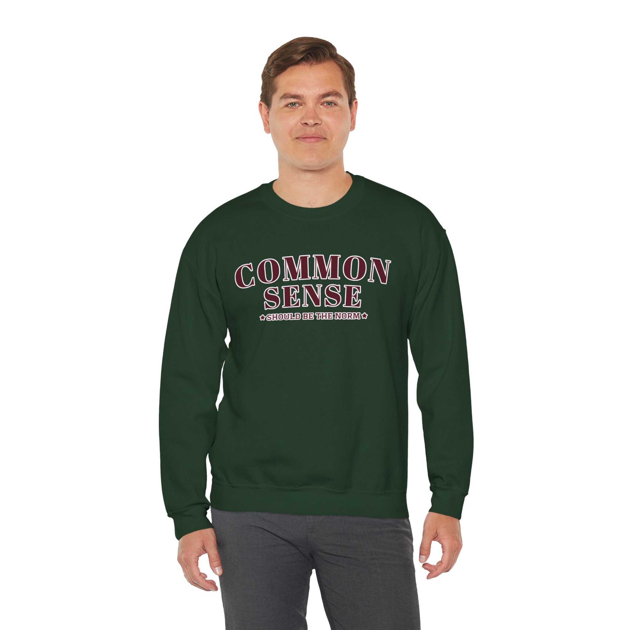 Common Sense Should Be The Norm Sweatshirt, Funny Sarcastic Crewneck, Trendy Adult Humor Shirt, Retro Statement Sweatshirt Gift